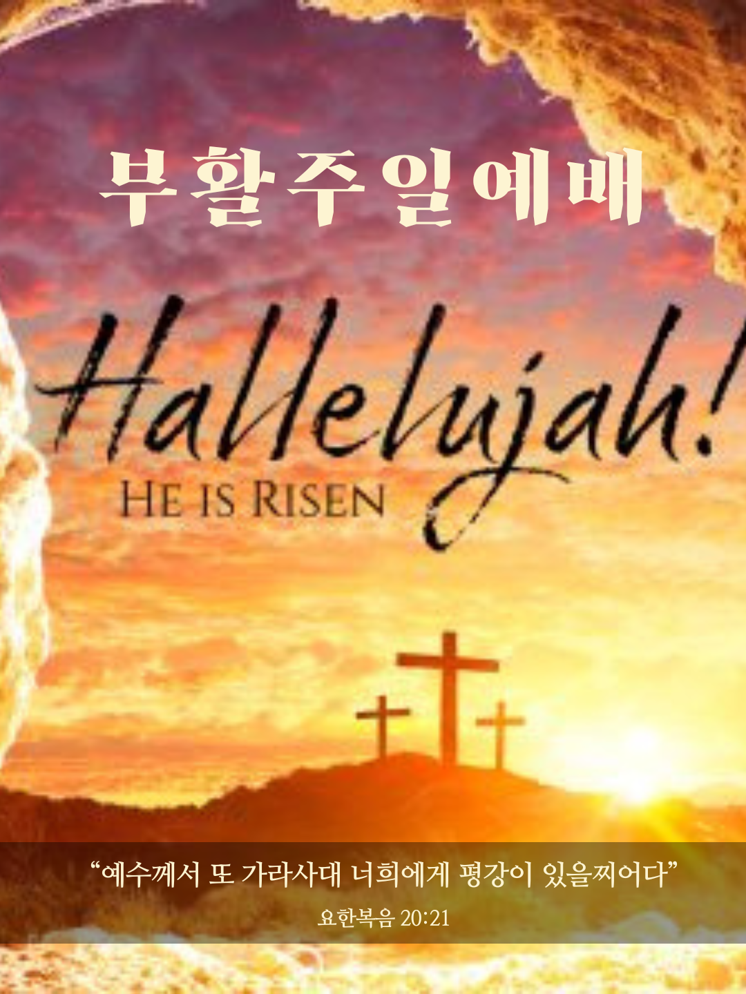 축제 후기.png